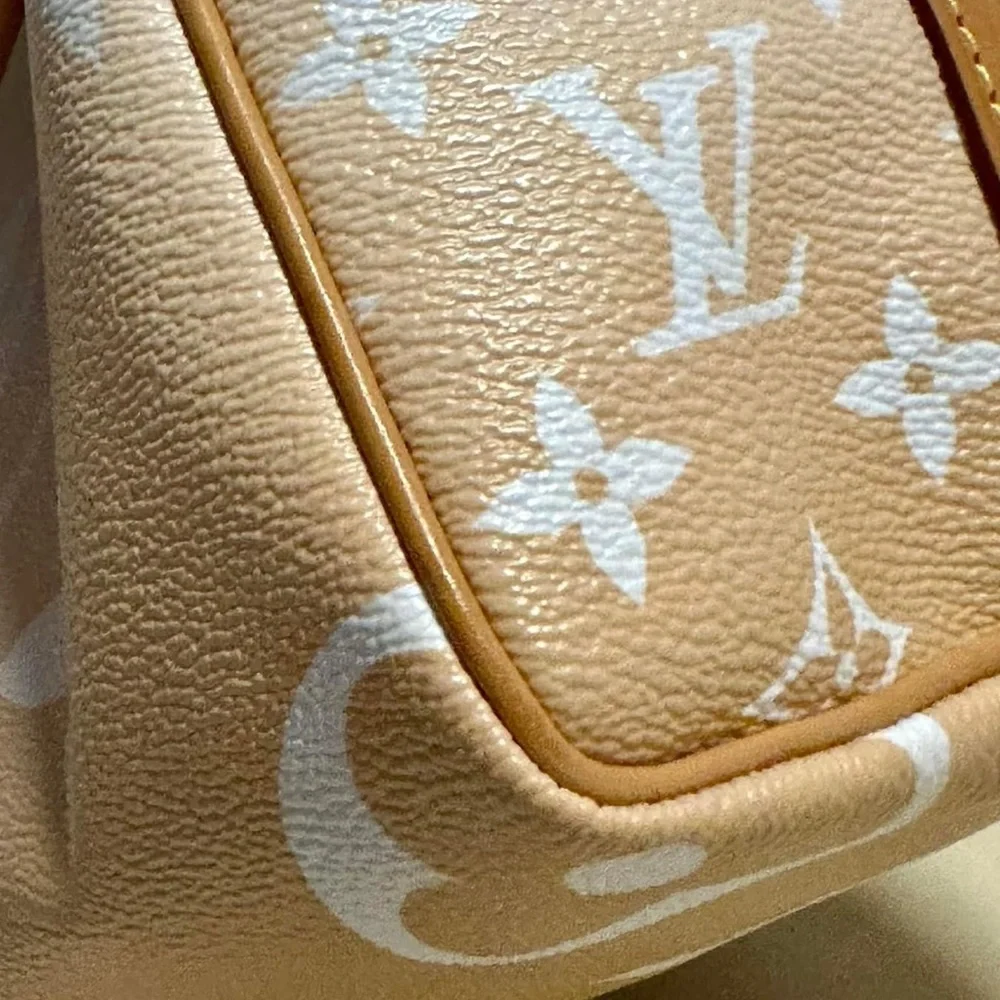 ♥️traded♥️Louis Vuitton By the Pool Speedy 25 - Picture 7 of 16